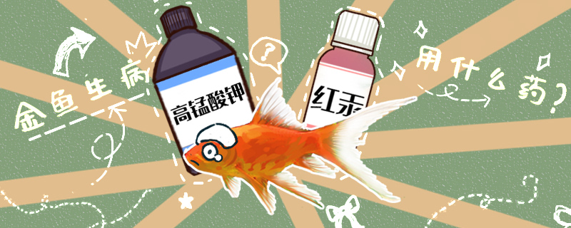 Goldfish fell ill how to do, what drug does precaution fall ill use