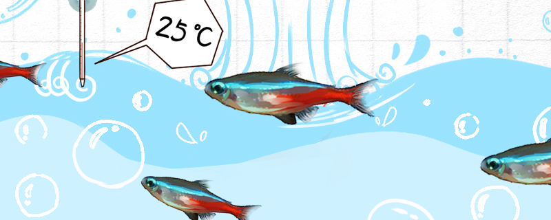 红绿灯鱼是热带鱼吗，温度多少合适