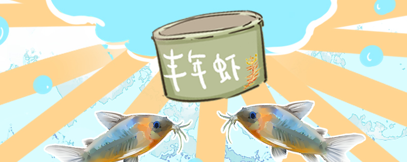 鼠魚(yú)吃什么喂什么飼料好