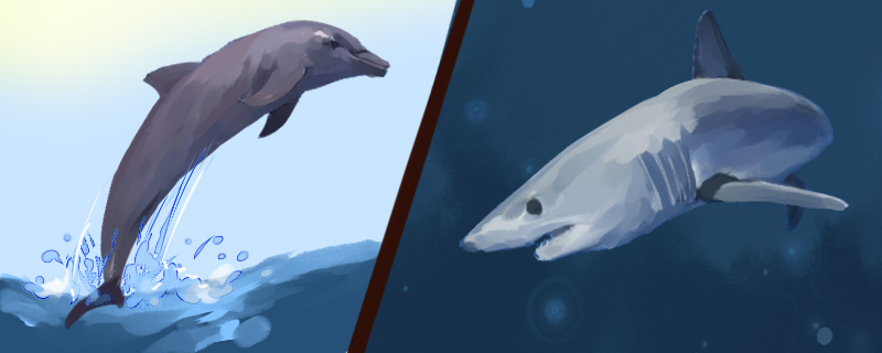 Is it true that sharks are afraid of dolphins? Which is more powerful, sharks or