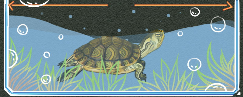 Is the yellow-eared turtle a deep-water turtle? How deep is the water?