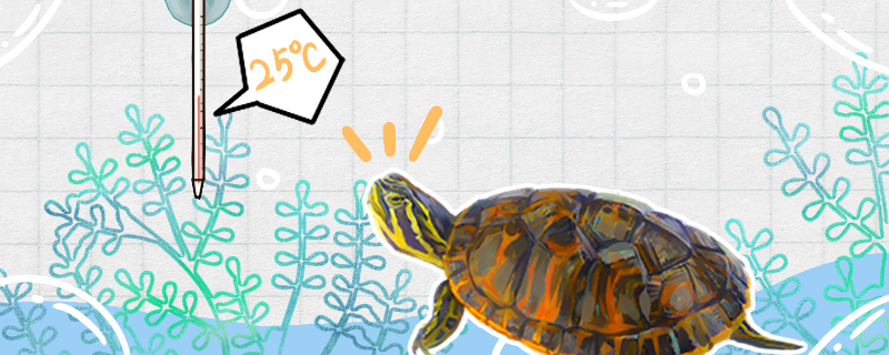 How much water temperature is suitable for the flame turtle? Do you need to heat