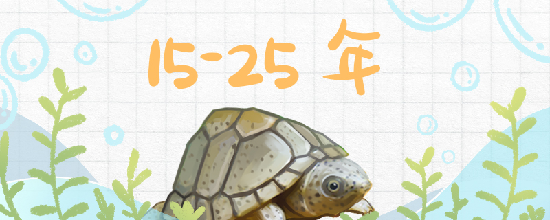 How long does a razor turtle live and how old is an adult?