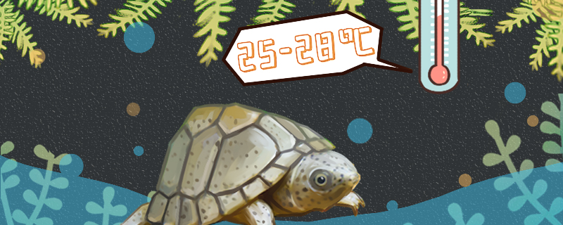 剃刀龟是冷水龟还是热带龟，水温多少度长得快