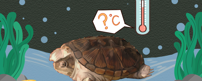 Is the water temperature suitable for snapping turtles? Do they need to be heate
