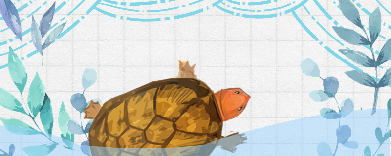 红面蛋龟可以冬眠吗，什么时候冬眠