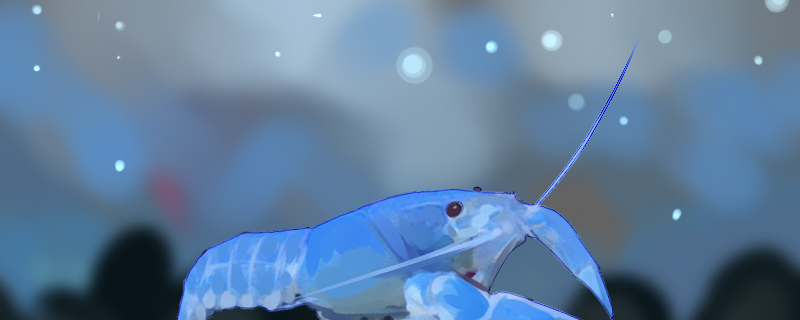 Is Sky Blue Devil shrimp good to raise, how to raise?