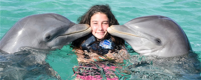 Do dolphins get close to people, and why?
