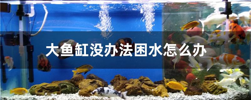 大鱼缸没办法困水怎么办 肥料