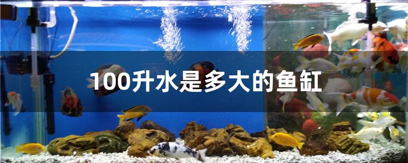 100升水是多大的魚缸 魚缸水質(zhì)穩(wěn)定劑