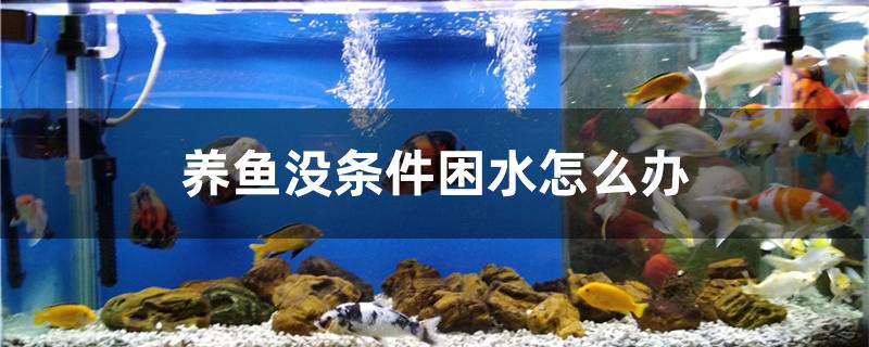 养鱼没条件困水怎么办