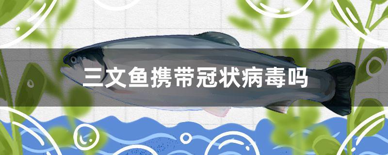 三文魚(yú)攜帶冠狀病毒嗎