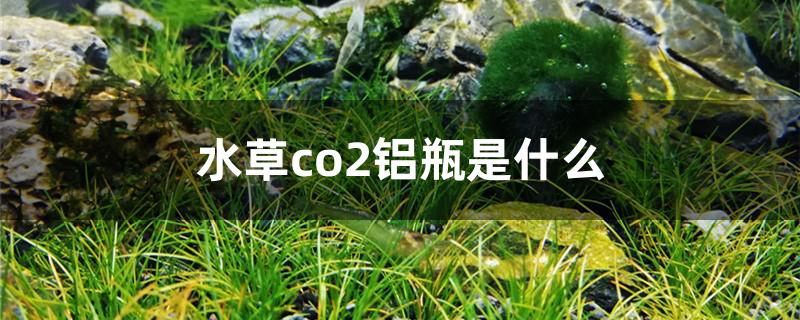 水草co2铝瓶是什么 鱼百科