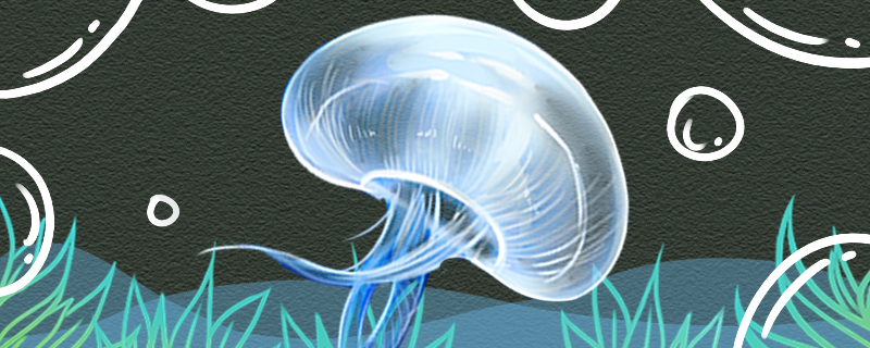 What is the activity method of jellyfish, rely on what activity?