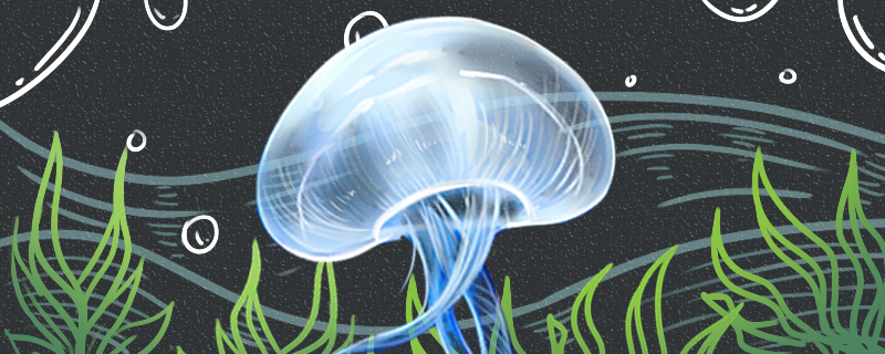 Are Jellyfish Coelenterates, or are they poisonous?