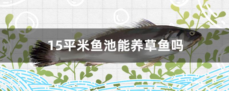 15平米鱼池能养草鱼吗