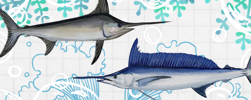 Sailfish and swordfish which powerful, which swim fast.