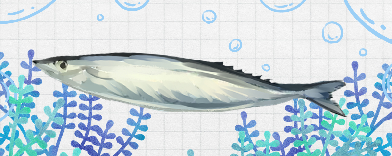 秋刀鱼是海鱼吗，在淡水中能活吗