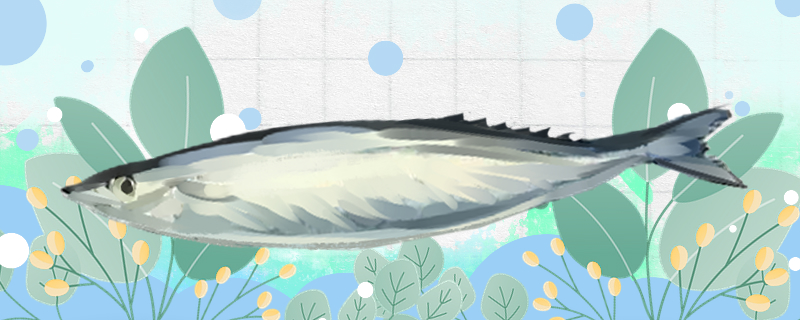 do-saury-have-spines-do-they-have-many-spines-better-for-fish