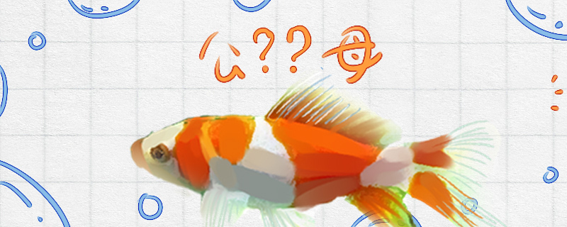 How does grass goldfish divide male and female, can male and female raise togeth
