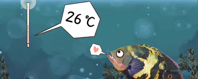 地图鱼适合水温是多少度，水温30度可以吗