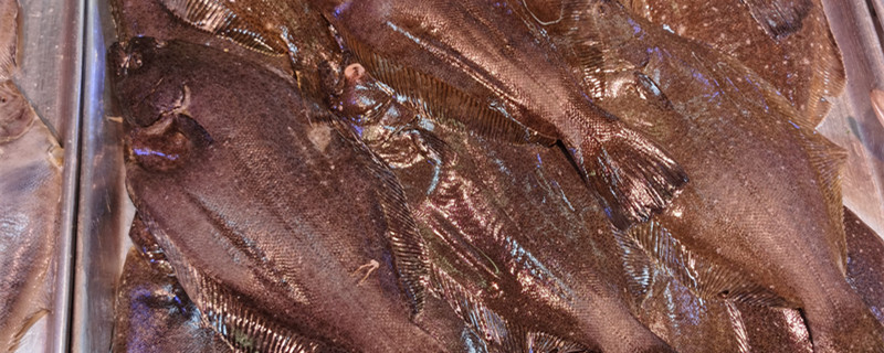 牙片鱼多少钱一斤，牙片鱼怎么看新不新鲜