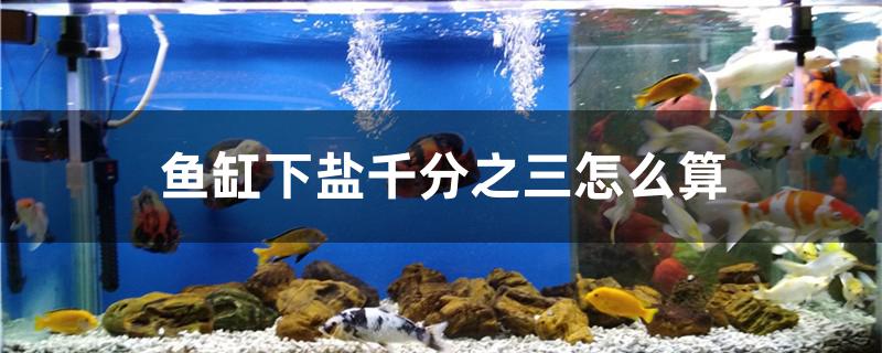 鱼缸下盐千分之三怎么算