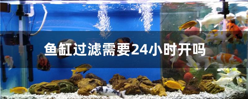 魚缸過濾需要24小時(shí)開嗎 魚缸清潔用具