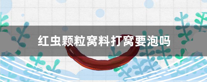 红虫颗粒窝料打窝要泡吗 印尼红龙鱼