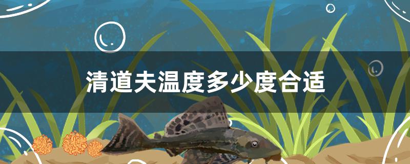 清道夫温度多少度合适
