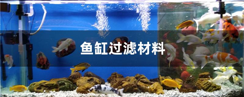 鱼缸过滤材料有哪些