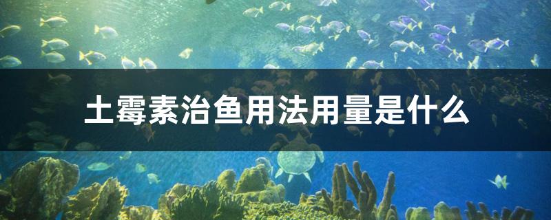 土霉素治鱼用法用量是什么 水族灯（鱼缸灯）