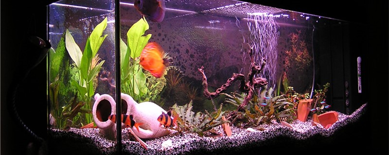 What are the techniques of fish tank pebble landscaping? What is the use of pebbles?