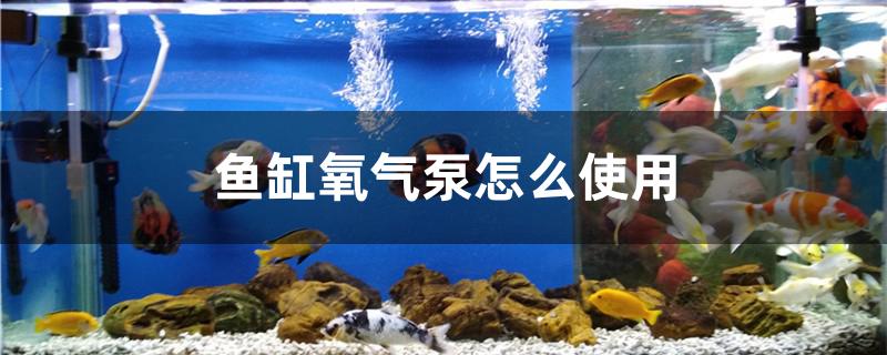 鱼缸氧气泵怎么使用