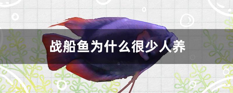 战船鱼为什么很少人养