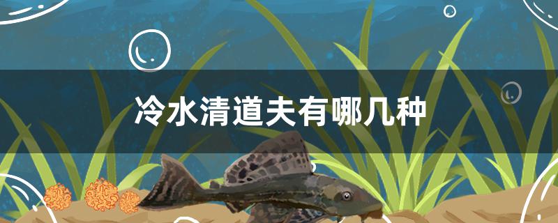 冷水清道夫有哪几种
