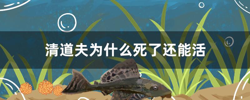 清道夫为什么死了还能活