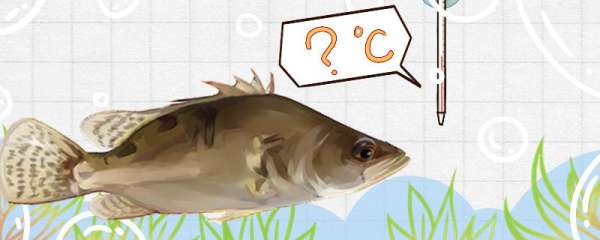 养桂鱼多少温度不会死，水温零下可以吗