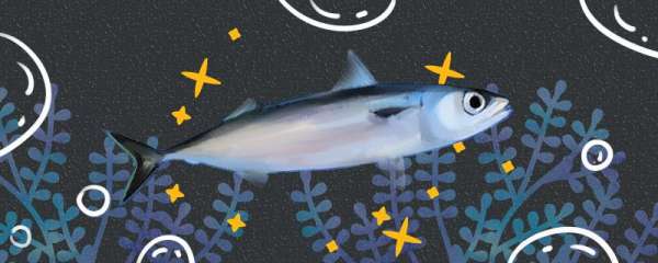 青花鱼是深海鱼吗，生活在哪里
