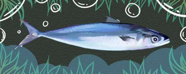 青占鱼是海鱼吗，是深海鱼还是浅海鱼