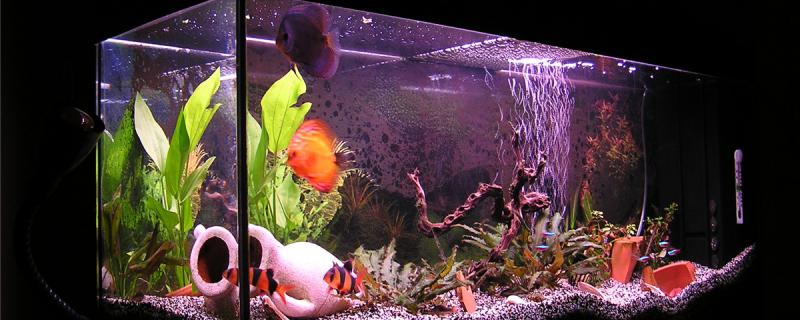 What size of fish tank is the 25w heating rod suitable for? What are the precautions for the heating rod