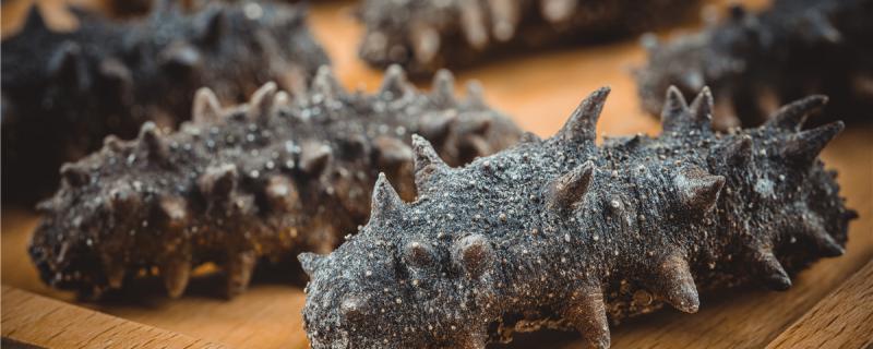 Are sea cucumbers the same as sea cucumbers? What's the difference?