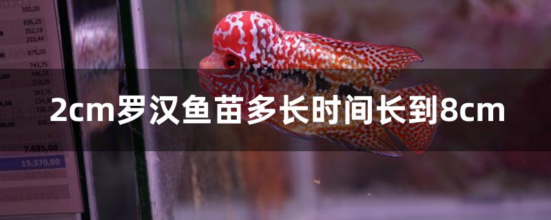 2cm罗汉鱼苗多长时间长到8cm