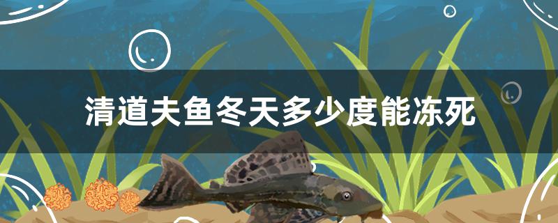 清道夫鱼冬天多少度能冻死