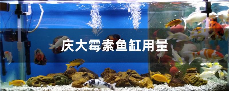 庆大霉素鱼缸用量