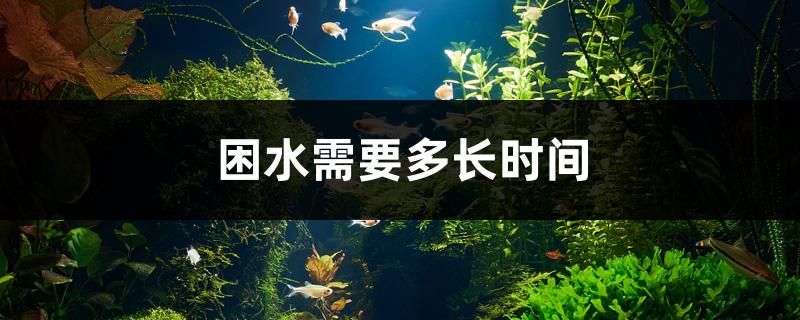 困水需要多长时间 虎鱼百科