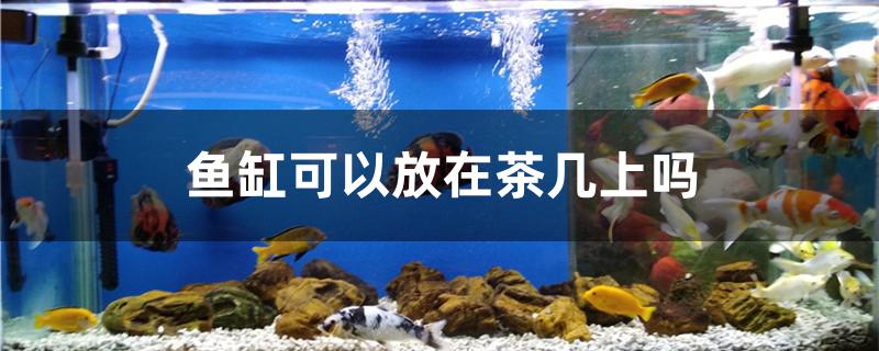 鱼缸可以放在茶几上吗