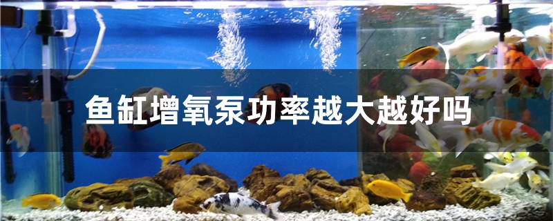 鱼缸增氧泵功率越大越好吗