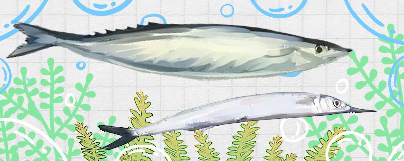馬歩魚と秋刀魚は同じですか、有什麽区別