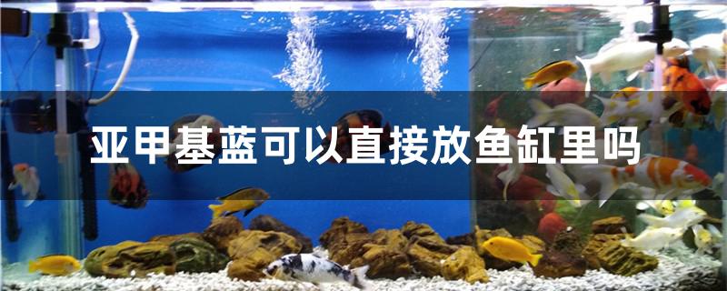 亚甲基蓝可以直接放鱼缸里吗